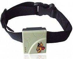 GPS obojok TK-201-2
