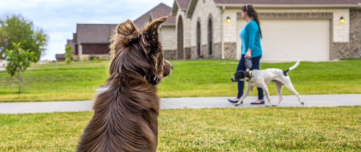 Garmin Delta InBounds Bundle 5v1 Elektronickeobojky.sk